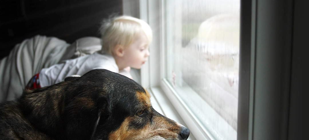 ¿Ya conoces la normativa de ventanas para viviendas?